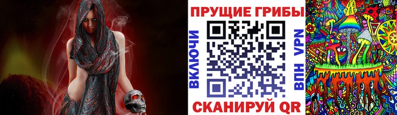 Псилоцибиновые грибы Psilocybine cubensis  KRAKEN ссылки  Орёл 